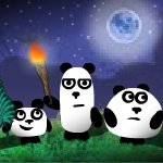 3 Pandas 2. Night