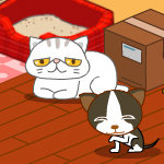 Animal Shelter