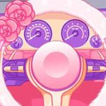 Princess Driver Quiz