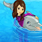 My Dolphin Show