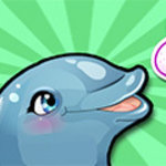 My Dolphin Show 8 - Free Online Game - Play Now | Kizi