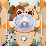 Animal Daycare