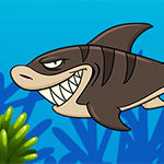 Fishing Frenzy