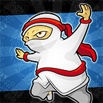 Flight of The Ninja