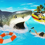 LA Shark