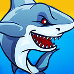 Shark Attack