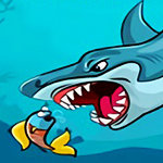 Fat Shark