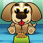 Feed Mypetdog Numbers