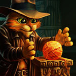 Indy Cat