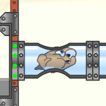 Harry The Hamster